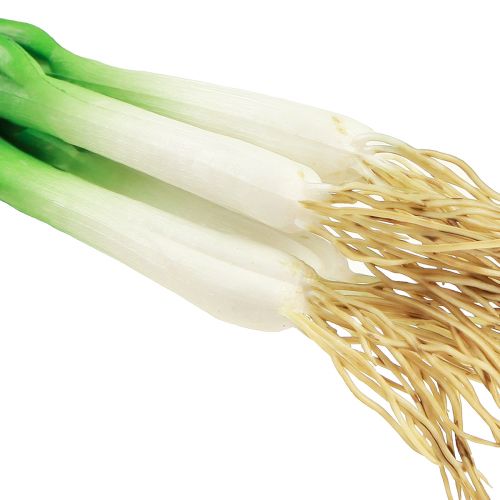 tételeket Mű újhagyma dísznövények H30cm 4 db