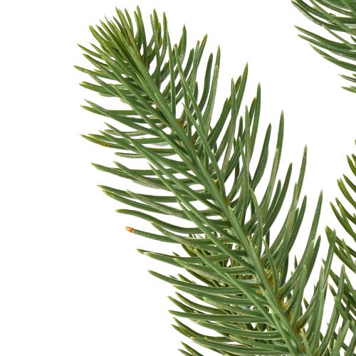 Floristik24 Műfenyő ágak fenyő szedése zöld színben L50cm 3 db