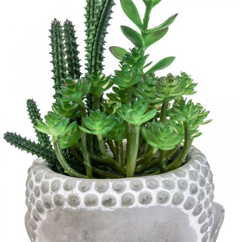 Floristik24 Mesterséges pozsgás virágcserép Buddha Ø12cm H24cm