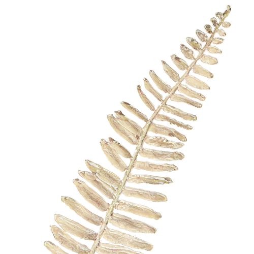 tételeket Műpáfrány ágas fehér krémszínű műnövények H120cm
