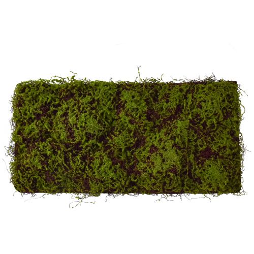 Floristik24 Mesterséges Moha Nagy Mohaszőnyeg Barna Zöld 100×50cm
