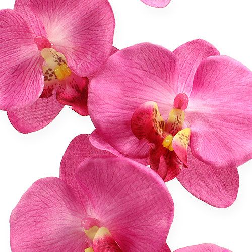 tételeket Mesterséges orchidea levelekkel Rózsaszín 68cm