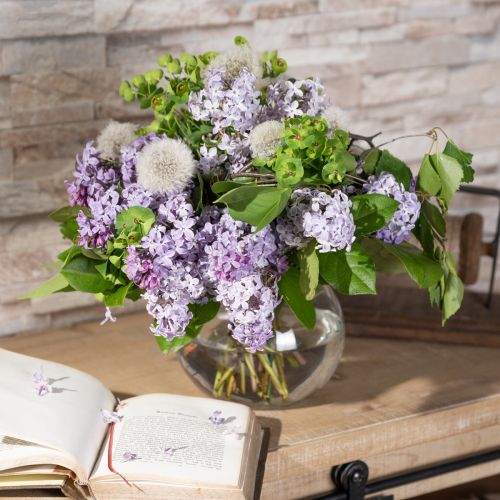 tételeket Golyóváza Üvegváza Átlátszó Kerek Asztali Váza Virágváza Ø15,5cm H12,5cm