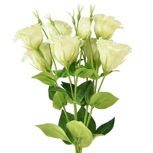 tételeket Művirágok Eustoma Lisianthus sárga zöld 52cm 5 db