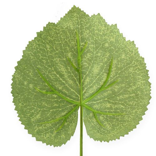 tételeket Deco növény levelei Galax W10cm L22cm 24db