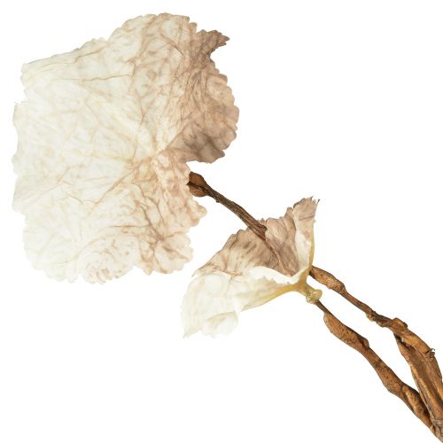 tételeket Artificial Autumn Heuchera Branch Artificial Brown Cream L85cm
