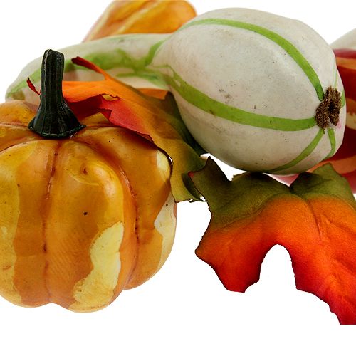 Sütőtök mix színű 12db | Floristik24.hu