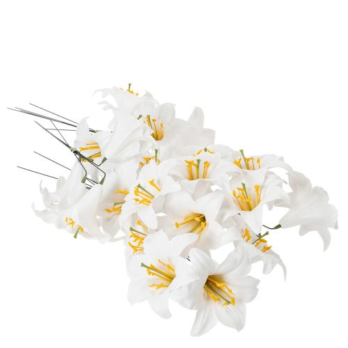 Liliom dróttal, közepes, 25 darab | Floristik24.hu