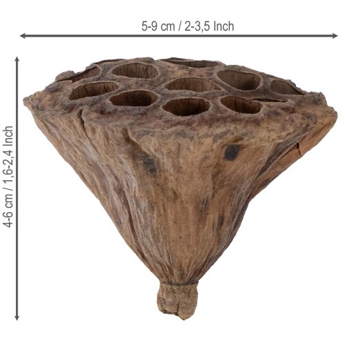 tételeket Lotus dugattyú közepes 100 db natúr