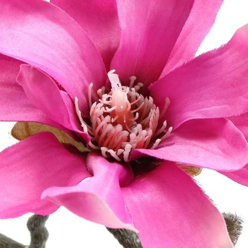 Floristik24 Magnólia ág 45cm 3db