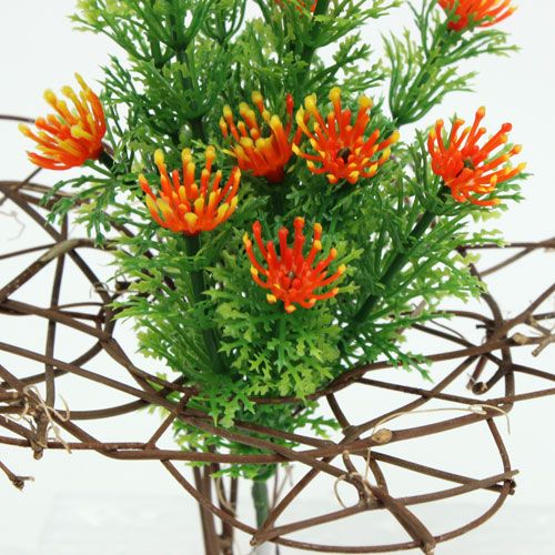 Floristik24 Szőlőmandzsetta 25cm 5db