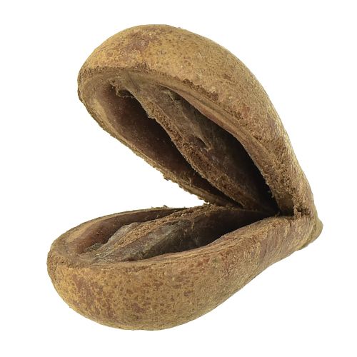 Floristik24 Mike Fruit Natural Materials Bagon Fruit Natural 8cm 50 db