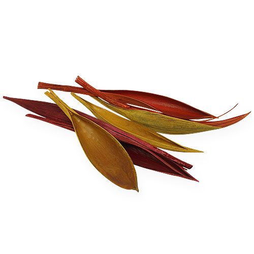 Floristik24 Kókuszlevél mini 3 színű válogatott. 0,5 kg