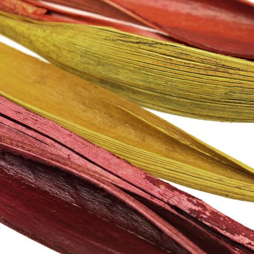 Floristik24 Kókuszlevél mini 3 színű válogatott. 0,5 kg