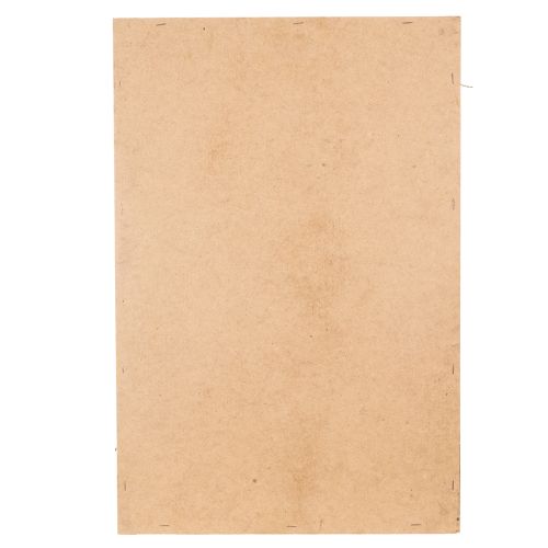 tételeket Mohakép, valódi tartósított moha és gallyak, natúr, 60×40cm