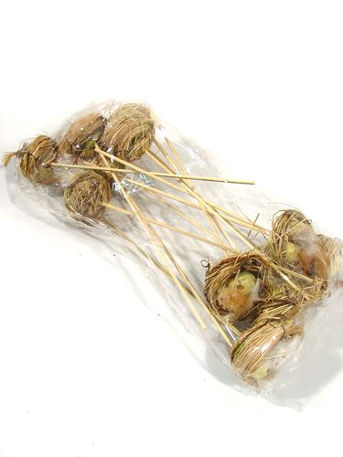 Floristik24 Madárfészek tojással pálcán 6cm 6db