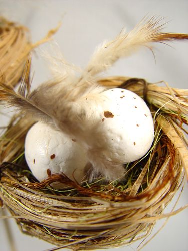 Floristik24 Madárfészek tojással pálcán 6cm 6db