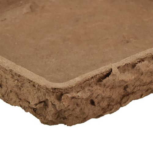 tételeket Oasis Biolit Basic virágmintás habszivacs 13x13x2cm 12 darabos virágdekorációs készlet DIY