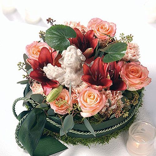 tételeket OASIS® Junior Complete 12 db