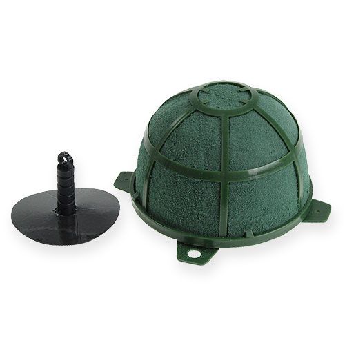 Floristik24 Nedves virágos hab Powerstrick-Corso 7,5cm 6 db