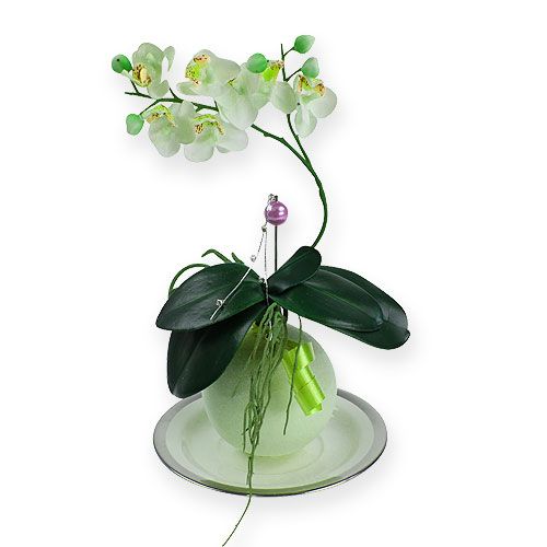 Floristik24 Habgolyók zöld 9cm 4db