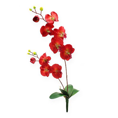 Floristik24 Deco orchidea piros 68cm