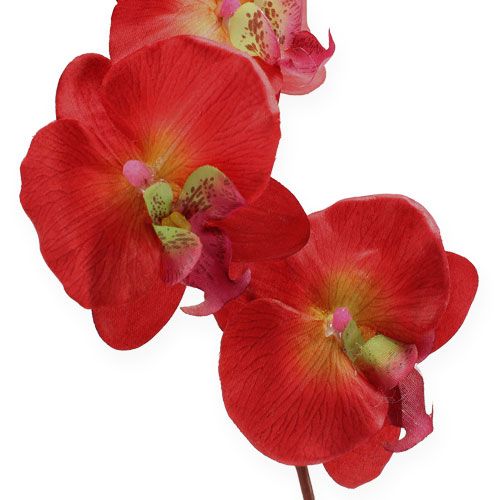 tételeket Deco orchidea piros 68cm