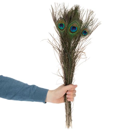 tételeket Pávatollak, igazi madártollak barkácsoláshoz és díszítéshez, 55 cm, 10 darab