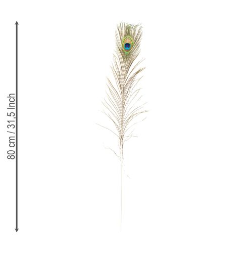 tételeket Pávatoll dekoráció, igazi madártoll, hosszú 75-85cm, 8 darab