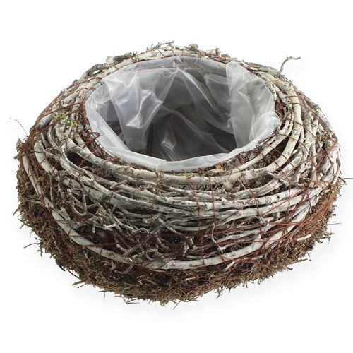 Floristik24 Ültetőtál Ø18cm