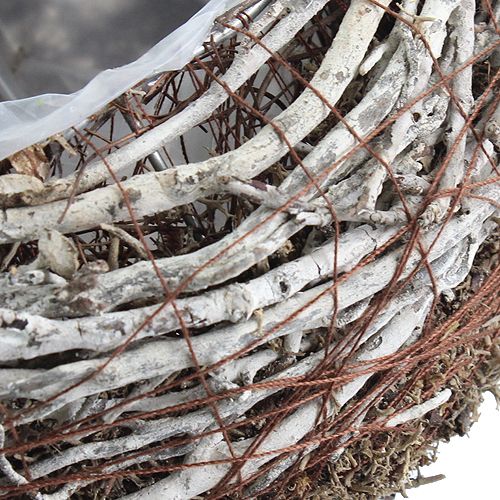 Floristik24 Ültetőtál Ø18cm