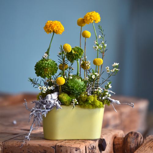 tételeket Növénytál ovális sárga dísztál műanyag 20×10×11cm 3db