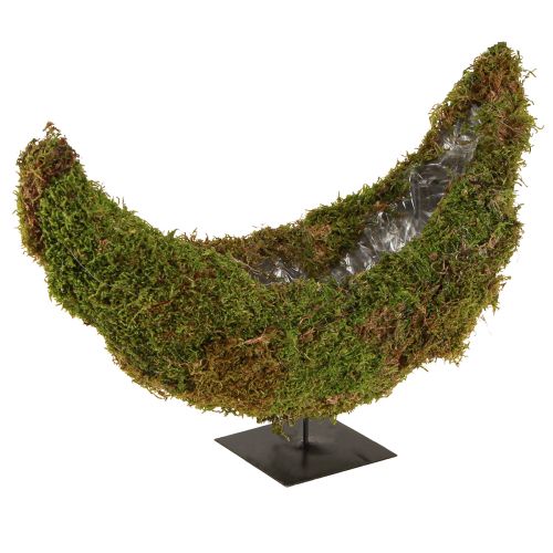 tételeket Mohás díszes virágcserép, félhold alakú, fém talppal, természetes dekoráció lakótérbe és ünnepségekre, 40×15×30cm