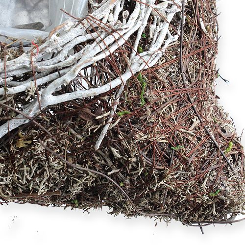 Floristik24 Négyzet alakú virágtartó 20cm x 20cm