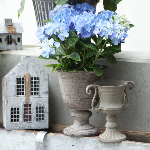 Floristik24 Csészetál szürke Ø11cm H19cm