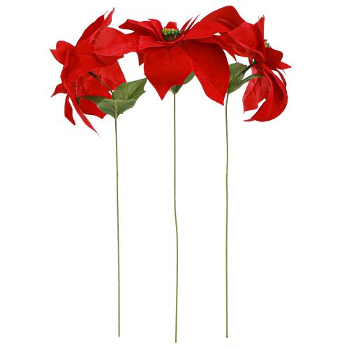 tételeket Pompás karácsonyi csillag - Mikulásvirág piros színben - 46 cm 6 db 2 csokor