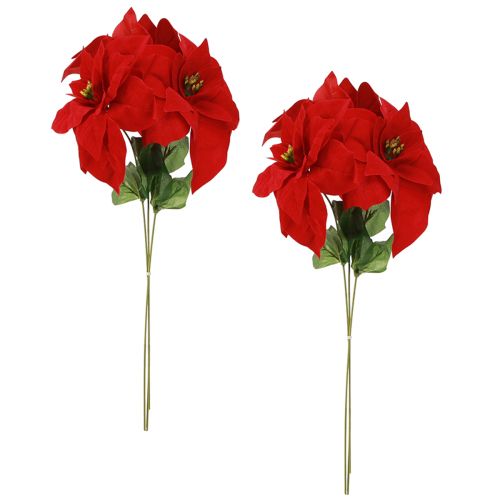 tételeket Pompás karácsonyi csillag - Mikulásvirág piros színben - 46 cm 6 db 2 csokor