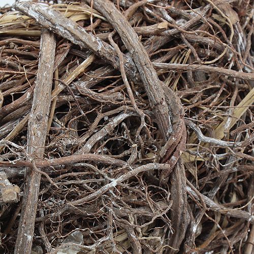 Floristik24 Szőlőkoszorú Ø 40cm