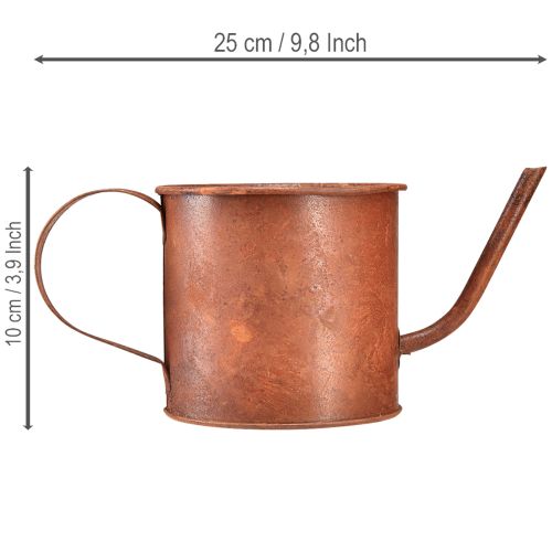 tételeket Rozsdás díszes öntözőkanna, mini virágcserép, fém, Ø10cm, M9cm
