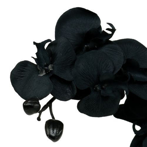 tételeket Orchidea díszítő fekete 54cm