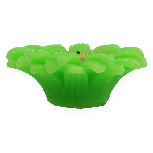 Floristik24 Gerbera zöld úszó gyertya Ø7,5cm