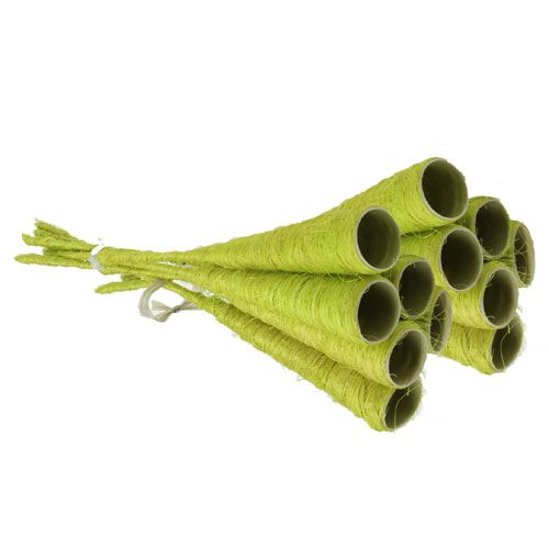 Floristik24 Szizál tölcsér világoszöld Ø3cm L30cm 12db