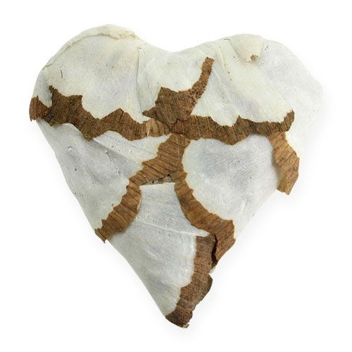 Floristik24 Sola Káposzta szív 6cm lapos 12 db.