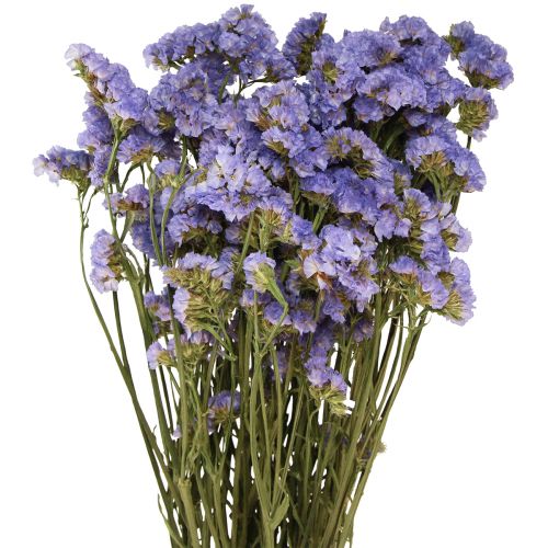 Floristik24 Sea Lilac Purple Statice Limonium sinuatum szárított virágok 60cm 50g