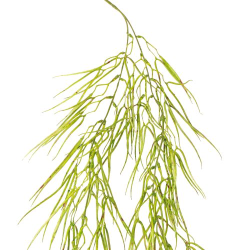 Zamatos függőzöld 145cm