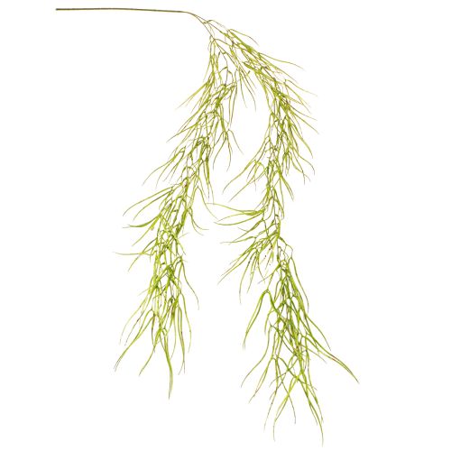 tételeket Zamatos függőzöld 145cm