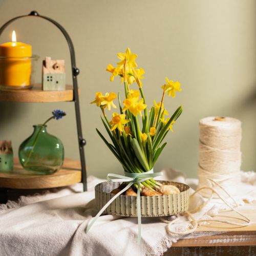 tételeket Tálca díszítéshez, gyertyatartó ovális, fém díszítő ezüst, zöld kopott chic L25/22/18cm H6cm 3 db-os készlet