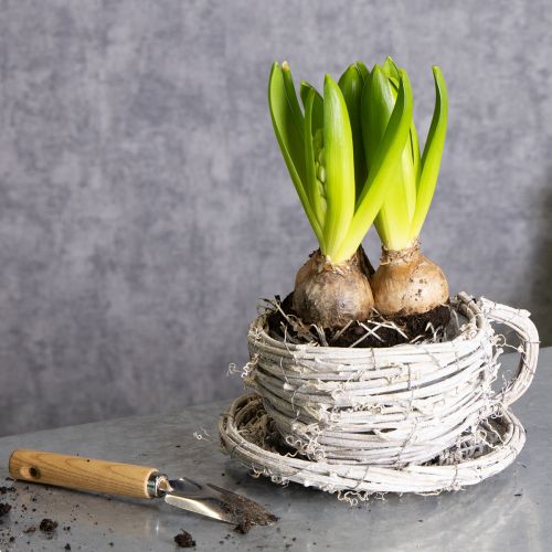 tételeket Természetes anyagból készült, rusztikus bájú teáscsésze exkluzív beltéri dekorációhoz 13 cm