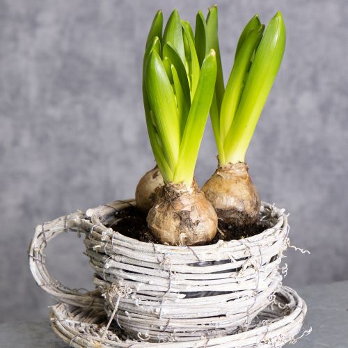 tételeket Természetes anyagból készült, rusztikus bájú teáscsésze exkluzív beltéri dekorációhoz 13 cm