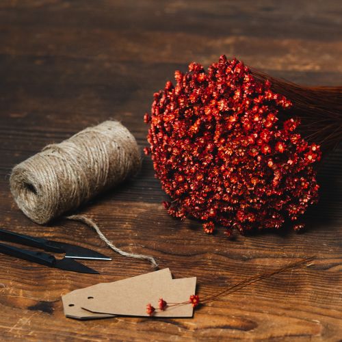 tételeket Szárított virágcsokor, bájos kiegészítője vázáknak vagy virágkompozícióknak, 44 cm